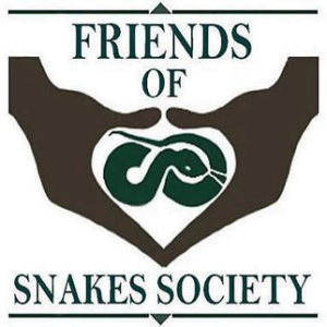 The Friends of Snakes Society - Who We Are & What We Do…. - Friends of ...